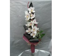 Стилен букет с орхидея цимбидиум, аранжиран с листа корделине , аралия и гипсофил